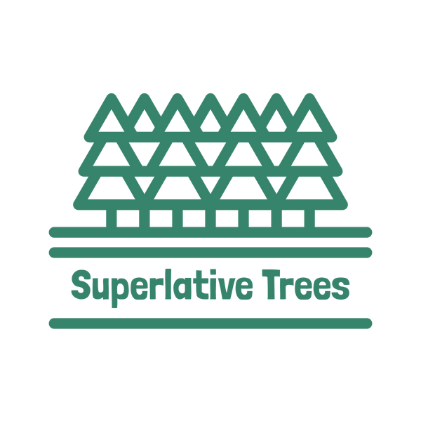 Superlative Trees