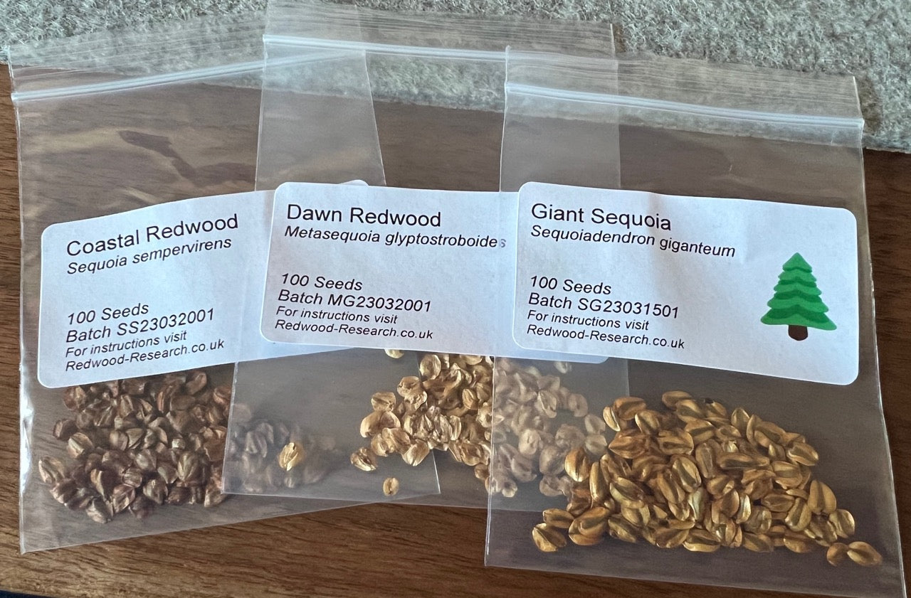 Three Redwoods Multipack