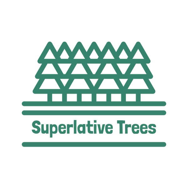 Superlative Trees
