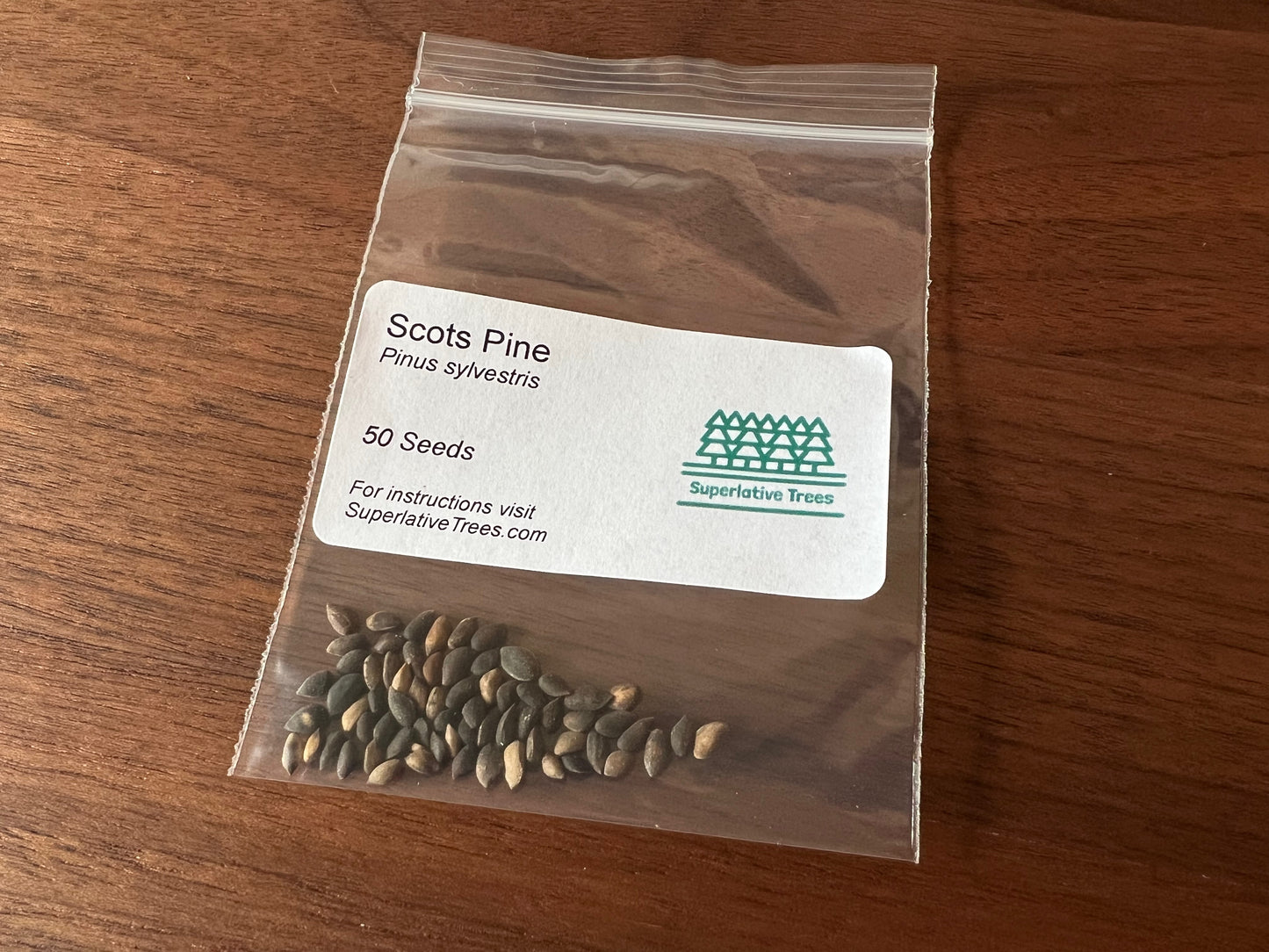 Scots Pine Seeds
